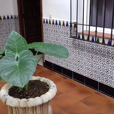 Apartamento Patio Pompeyos